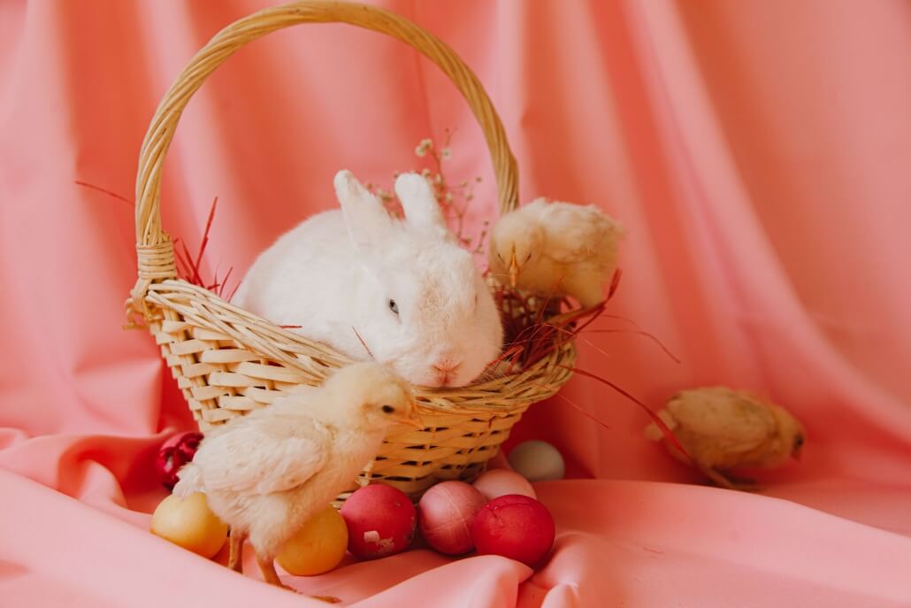 How to Make a Homemade Easter Gift Basket