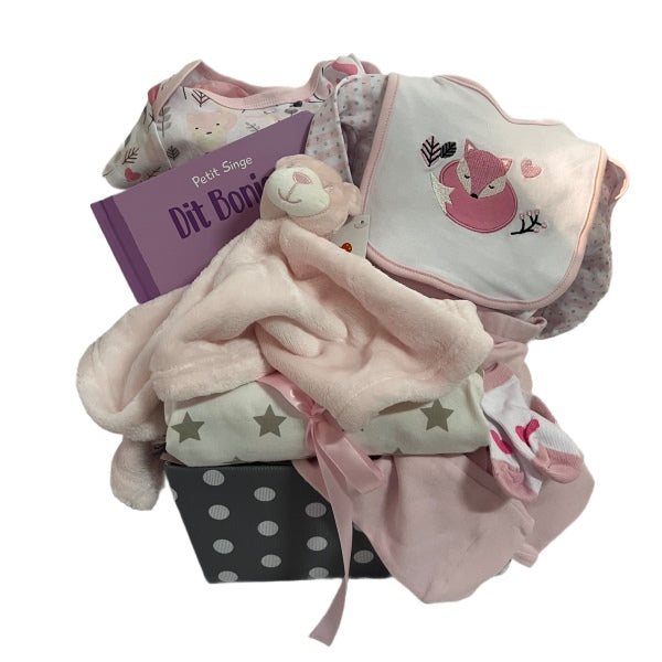 Baby Girl Gift Basket